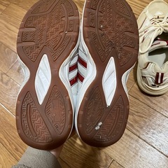 スニーカー　24.5の画像