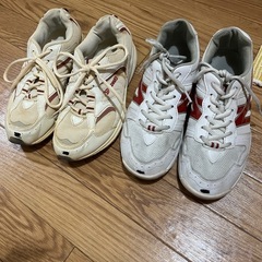 スニーカー　24.5