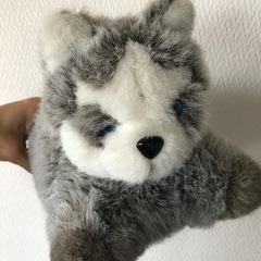可愛いハスキー小物入れの画像
