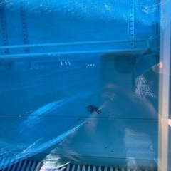 大型冷凍庫　アイスクリームの画像