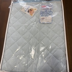 パットシーツ2枚セット