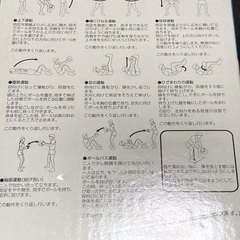 筋トレ ストレッチ トレーニング メディシングボールの画像