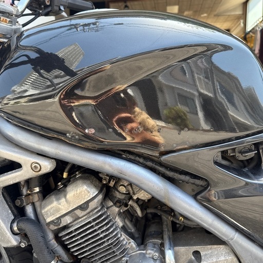 バリオス１型