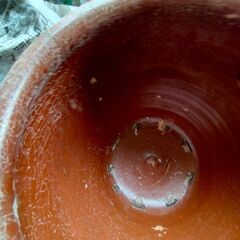 昭和レトロ　古い味噌甕　つぼ　樽　の画像