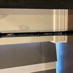 Daiwa SEABORG  G300JL とtailwalk JIGFORCE SSD C634 spec-eのセット  の画像