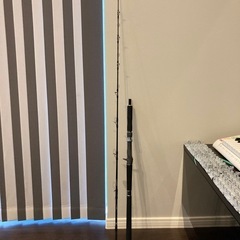 Daiwa SEABORG  G300JL とtailwalk JIGFORCE SSD C634 spec-eのセット  の画像