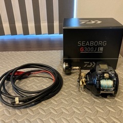 Daiwa SEABORG  G300JL とtailwalk ...