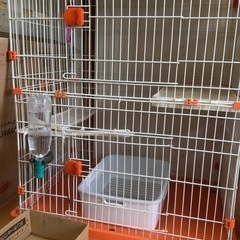 猫ゲージの画像