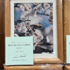 【限定】原田孝一オリジナルプリントコレクション 「野山に遊ぶ鳥たちの歳時記」 数量限定品】原田孝一オリジナルプリントコレクション 「野山に