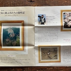 【限定】原田孝一オリジナルプリントコレクション 「野山に遊ぶ鳥たちの歳時記」 数量限定品】原田孝一オリジナルプリントコレクション 「野山に