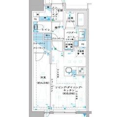 IN🌷即入居可！築浅高級賃貸マンション✨敷金、礼金、仲介手数料ゼ...