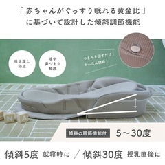 ネオママイズム ベビーベット ベットインベットの画像