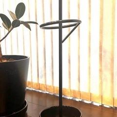 IKEA   イケア　傘立て　廃番商品