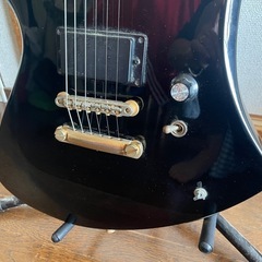 FERNANDES MG フェルナンデス モッキンバード  の画像