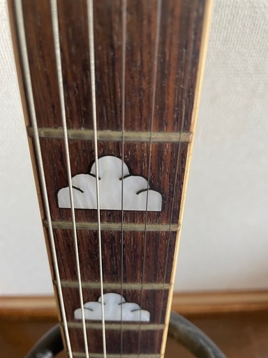 FERNANDES MG フェルナンデス モッキンバード  
