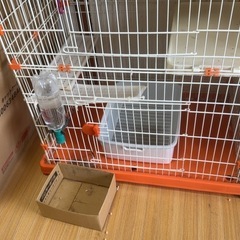 猫ゲージの画像
