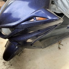 majesty250