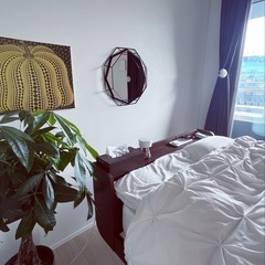 植物6の画像