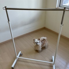 【服掛け ハンガーラック】