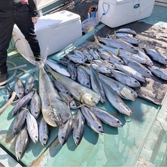 釣りに行きませんか🙌🏻🎣 