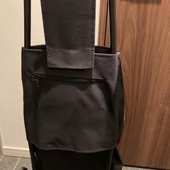 買い物　キャリーカート　の画像