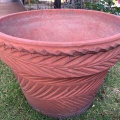 テラコッタ？特大植木鉢