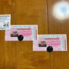 読売ランド入園ご招待券　5/31迄　ペアチケット　 読売ジャイア...