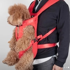 TAILUP 犬用ハーネス ブラックの画像