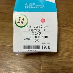 上履き19cmの画像