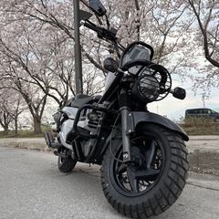 ps250 カスタム　