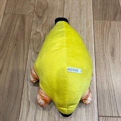 猫ミーム　音あり　ぬいぐるみの画像