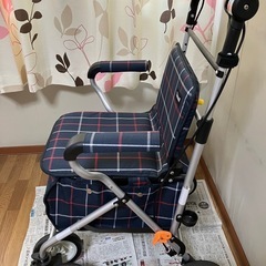 スタンダードシルバーカー　幸和製作所　テイコブST07　の画像