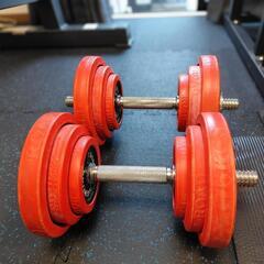 fighting  ラバー ダンベル 40kg（片手20kg）の画像