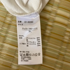 ボーダーカットソーの画像