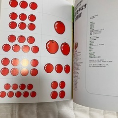 2歳教育 久保田競 大和書房の画像