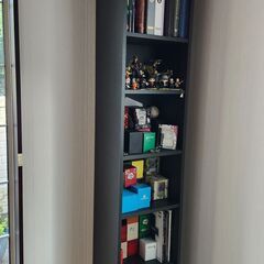IKEA 《BILLY》書棚・ブックシェルフ