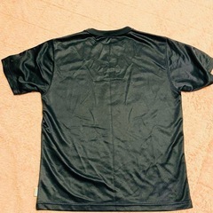 【ハワイ限定】Champion チャンピオン メンズ 半袖 Tシャツ 吸汗速乾の画像