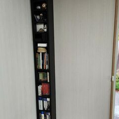 IKEA 《GNEDBY》書棚・ブックシェルフ