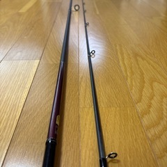 ソルティアドバンス エギングの画像