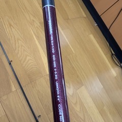 ソルティアドバンス エギングの画像