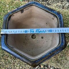 31：★値下しました★六角形青い鉢　盆栽等にいかがでしょうか？の画像