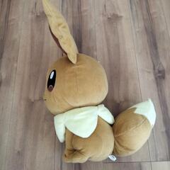 イーブイぬいぐるみの画像