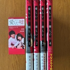 「愛しい嘘」漫画本
の画像