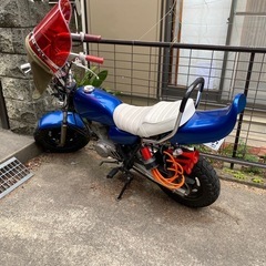エイプ50の画像