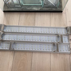 水槽4つ＋LEDライト3つセットの画像