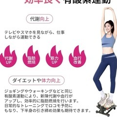 フィットネスマシーン ブラックの画像