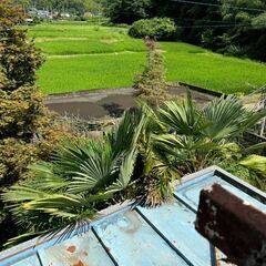 家賃3万円☆☆☆安中市大谷★★★　大型ガレージ付き貸家　７DKの大きなお家です - 賃貸（マンション/一戸建て）
