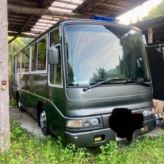 大型バス❣️