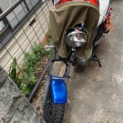エイプ50の画像
