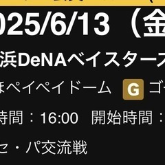6/13(金) 交流戦 横浜DeNAベイスターズ ソフトバンクホ...